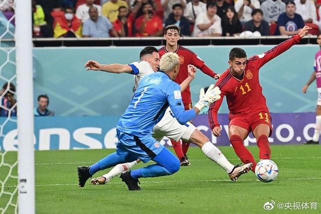 vvvv98国产成人综合青青